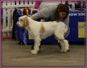 22-01-12 M GoodAsGold_IMG_7637